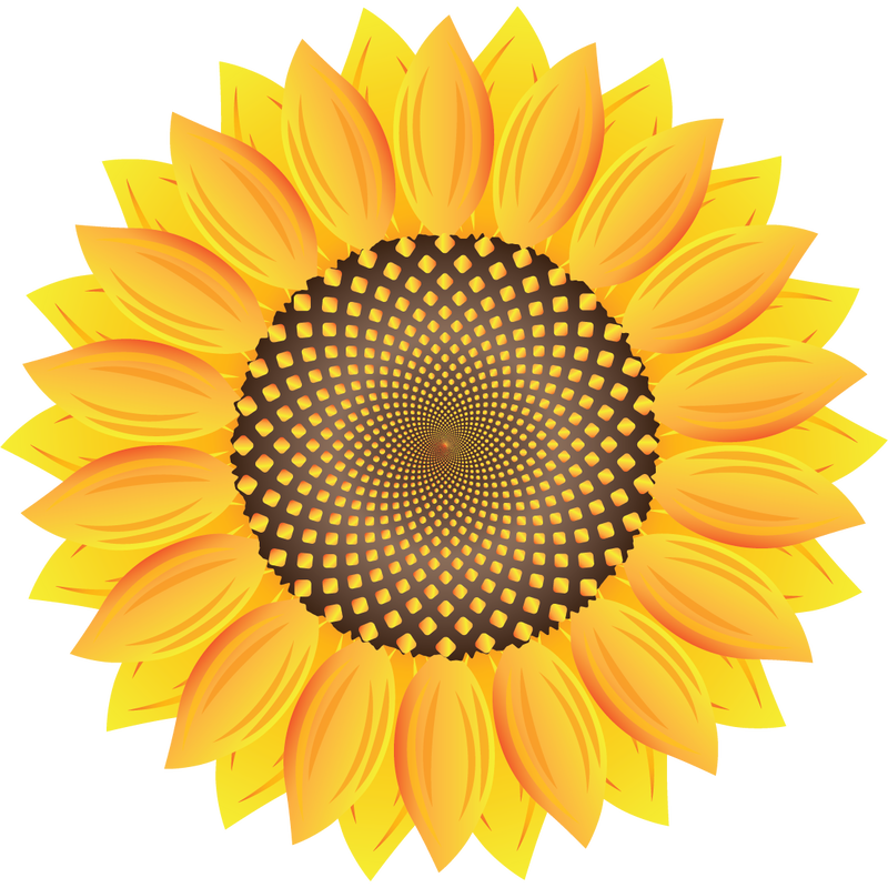 Sunflower logo